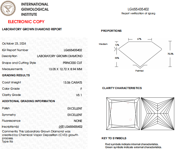 13 CT Princess Cut Lab Grown Diamond For Engagement Ring