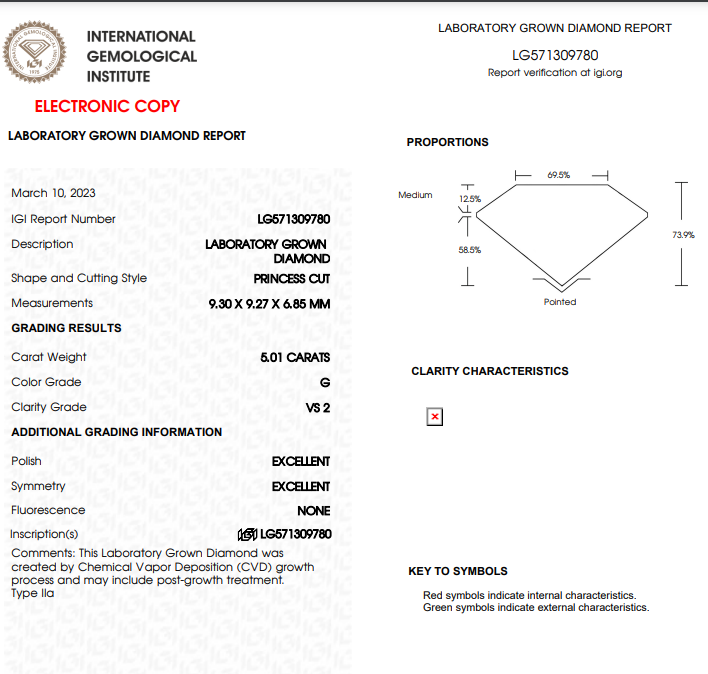 5 CT Princess Cut Lab Grown Diamond For Engagement Ring