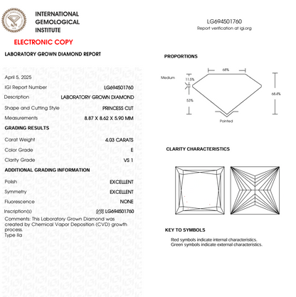 4 CT Princess Cut Lab Grown Diamond | IGI Certified | Best for Wedding Gift or Anniversary Gift | Best for Necklace or Earrings