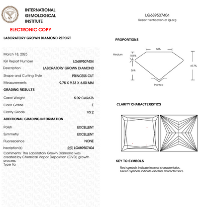 5 CT Princess Cut Lab Grown Diamond for Anniversary Gift or Wedding Gift | IGI Certified | Best for Necklace or Earrings