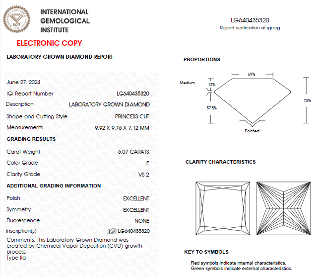 6 CT Princess Cut Lab Grown Diamond For Engagement Ring